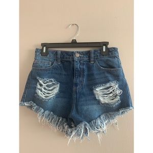 Festival Shorts